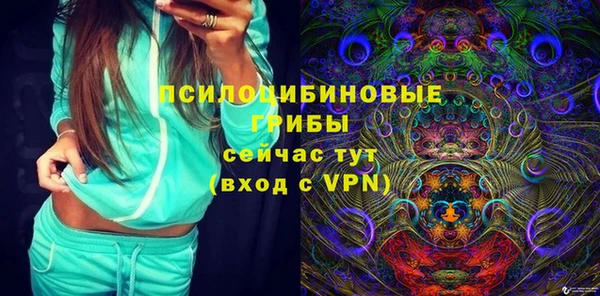 стаф Тихорецк