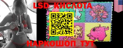 прущие крисы Абинск