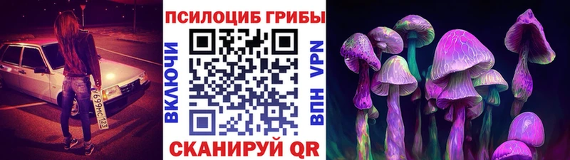 что такое наркотик  Абинск  Псилоцибиновые грибы Psilocybe 