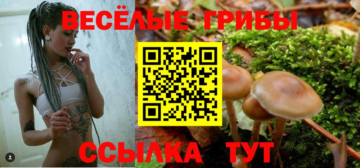 Псилоцибиновые грибы Cubensis  Псилоцибиновые грибы MAGIC MUSHROOMS  Абинск 