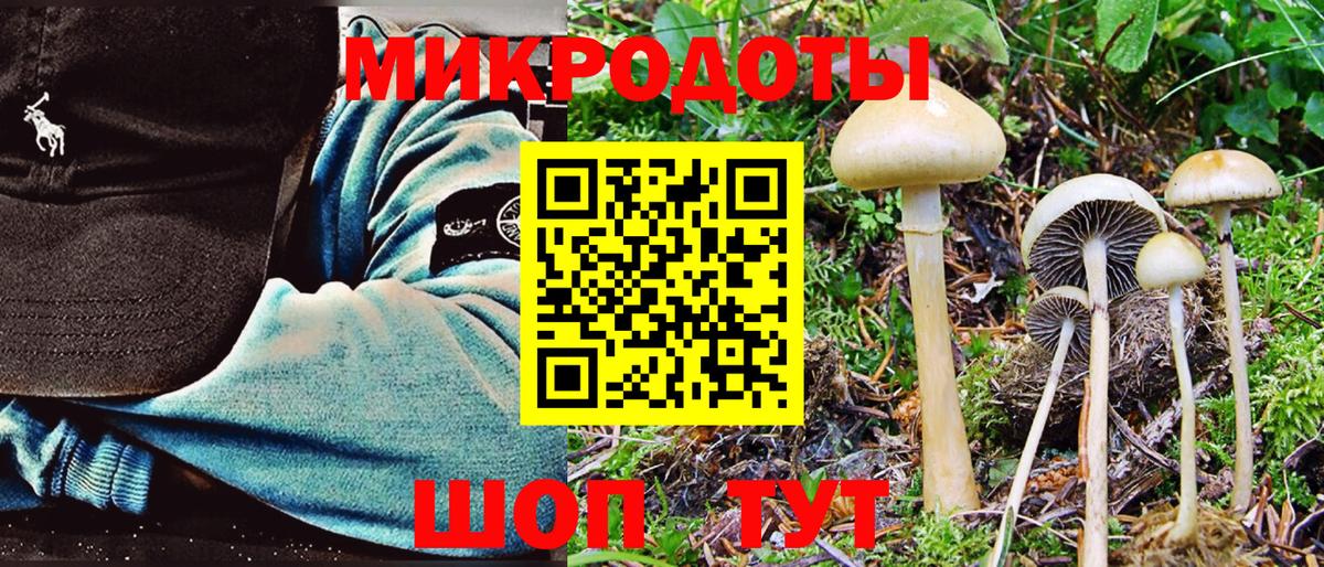 Галлюциногенные грибы Cubensis Абинск