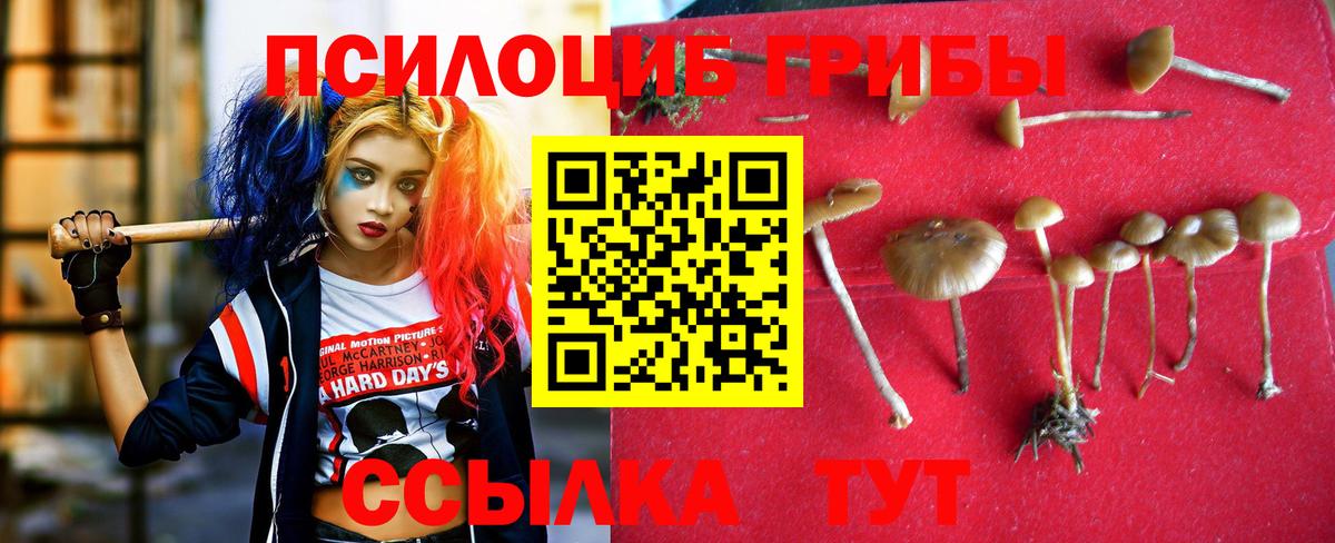 Псилоцибиновые грибы ЛСД Абинск