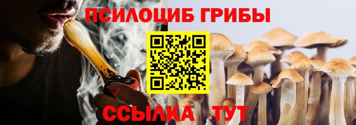 хочу   Галлюциногенные грибы прущие грибы  Вход с VPN  Абинск 